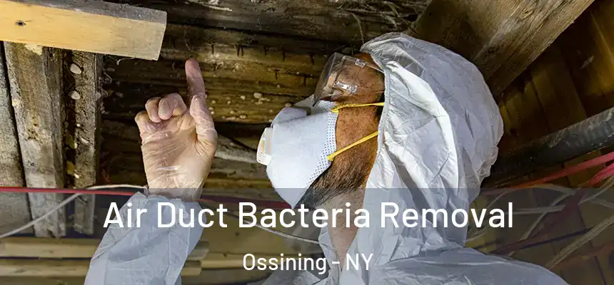 Air Duct Bacteria Removal Ossining - NY