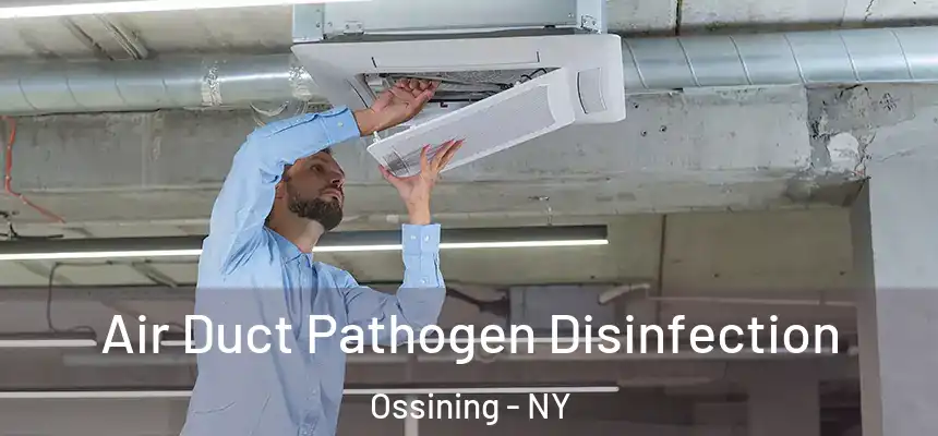  Air Duct Pathogen Disinfection Ossining - NY
