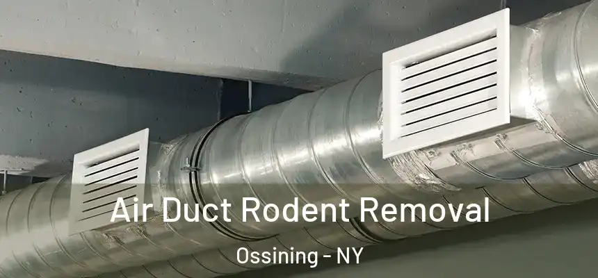  Air Duct Rodent Removal Ossining - NY