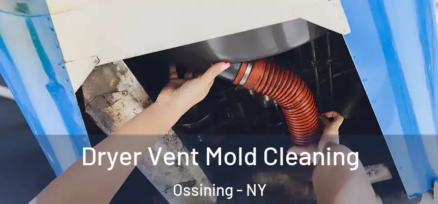  Dryer Vent Mold Cleaning Ossining - NY