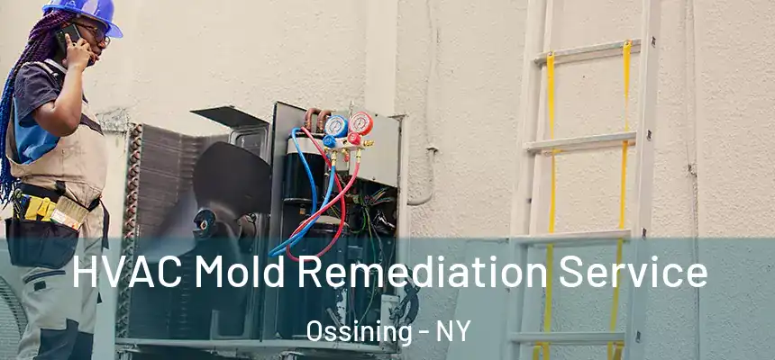  HVAC Mold Remediation Service Ossining - NY