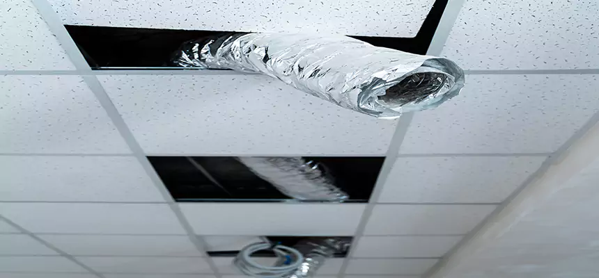 Our Air Duct Pet Hair Removal Services in Ossining, NY