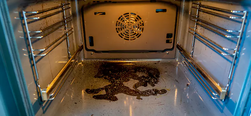 Our Dryer Vent Mold Cleaning Services in Ossining, NY