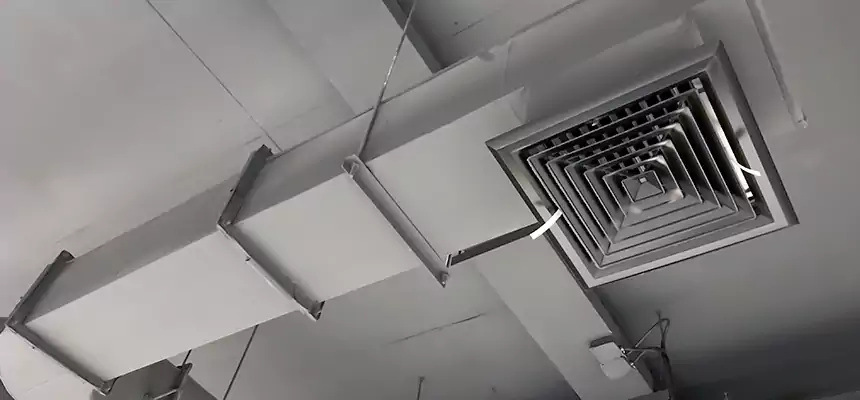 Our Pest Removal From Ducts Services in Ossining, NY