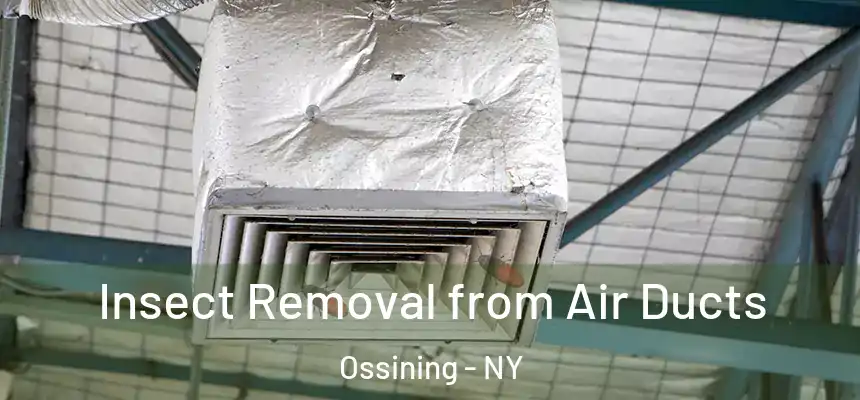  Insect Removal from Air Ducts Ossining - NY