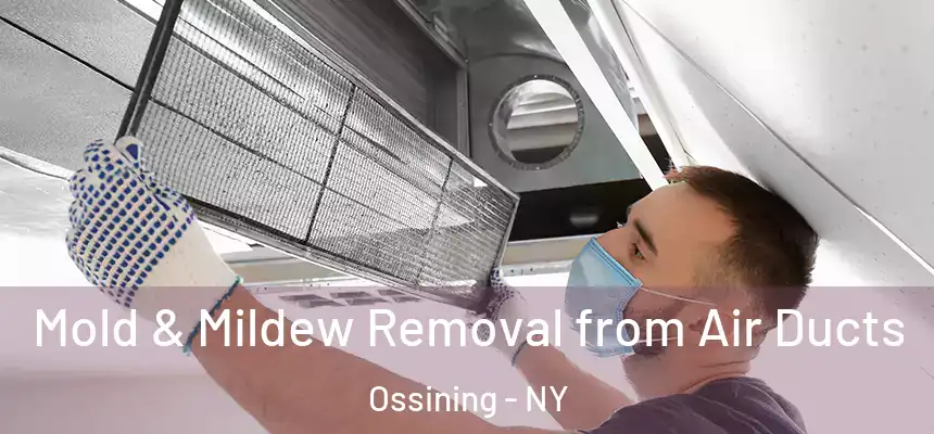  Mold & Mildew Removal from Air Ducts Ossining - NY