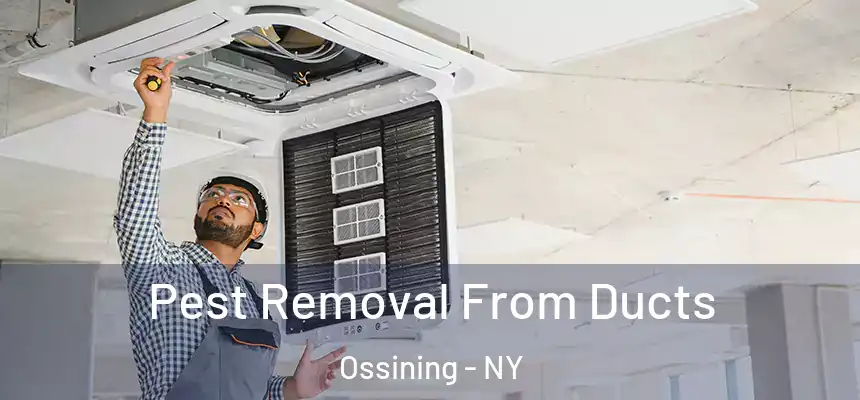  Pest Removal From Ducts Ossining - NY