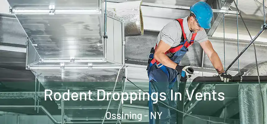  Rodent Droppings In Vents Ossining - NY