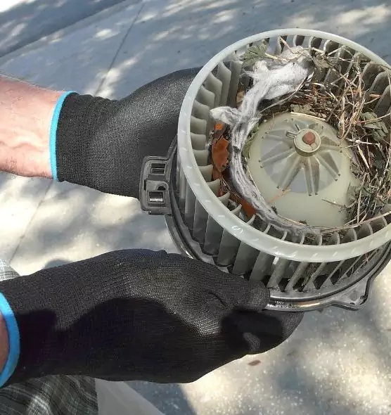 About Air Duct Rat Removal in Ossining, NY